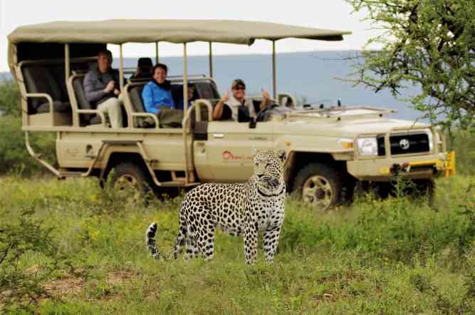 Booking a Kenya Safari: Ensuring Safety and Enjoyment